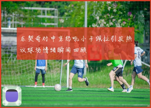 东契奇对申京怒吼小卡佩拉引发热议球场情绪瞬间回顾